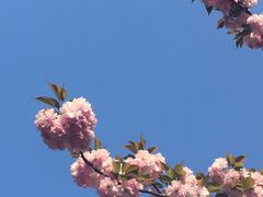-幕燕滨江·长江观音景区