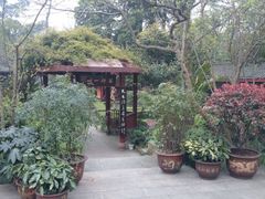 -峨眉山报国寺