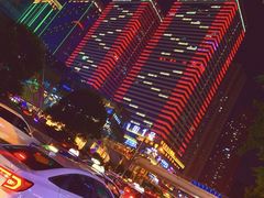 -树厨贵州菜(大十字店)