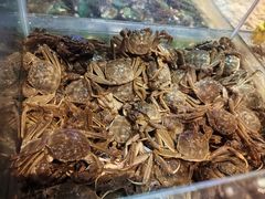 -领鲜活海鲜榴莲自助火锅(东门店)