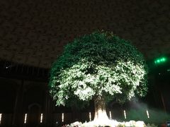 -普陀山慧济禅寺