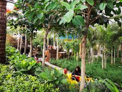 -南宫五洲植物乐园