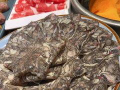 -快乐小羊·内蒙牛羊肉火锅(流花中心店)