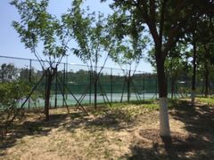 -回龙观体育文化公园