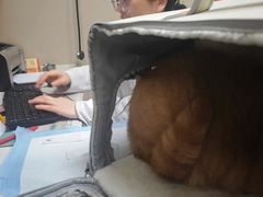 -瑞鹏宠物医院·爱宠堂·骨外专科(西荷分院)