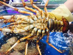 -盒马鲜生(大成店)