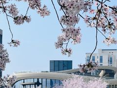 -龙美术馆(西岸馆)