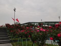 -钱江新城灯光秀
