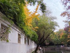 -西园戒幢律寺