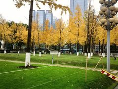 -重庆市江北嘴中央商务区中央公园