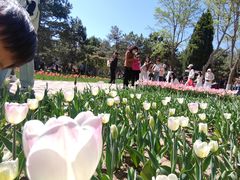 -石家庄市植物园