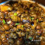 夏日酸辣小螺，吃货必备