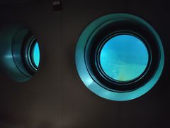 -白鹤梁水下博物馆