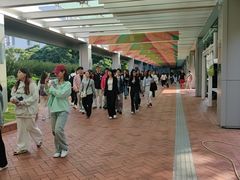 -香港大学