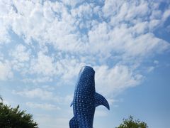 -珠海长隆海洋王国