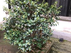 -钱穆钱伟长故居