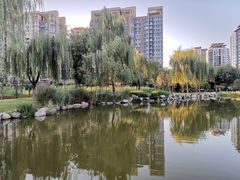 -木塔寺遗址生态公园