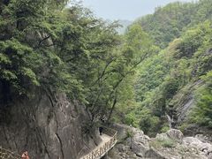 -洛阳白云山景区