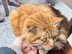 -国顺胡辣汤(新兴大街店)