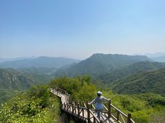 -大岭沟猕猴桃谷风景区