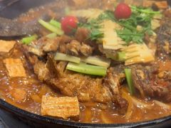 -老板恋上鱼(恒隆广场店)