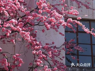 今天外卖吃什么 吃这些