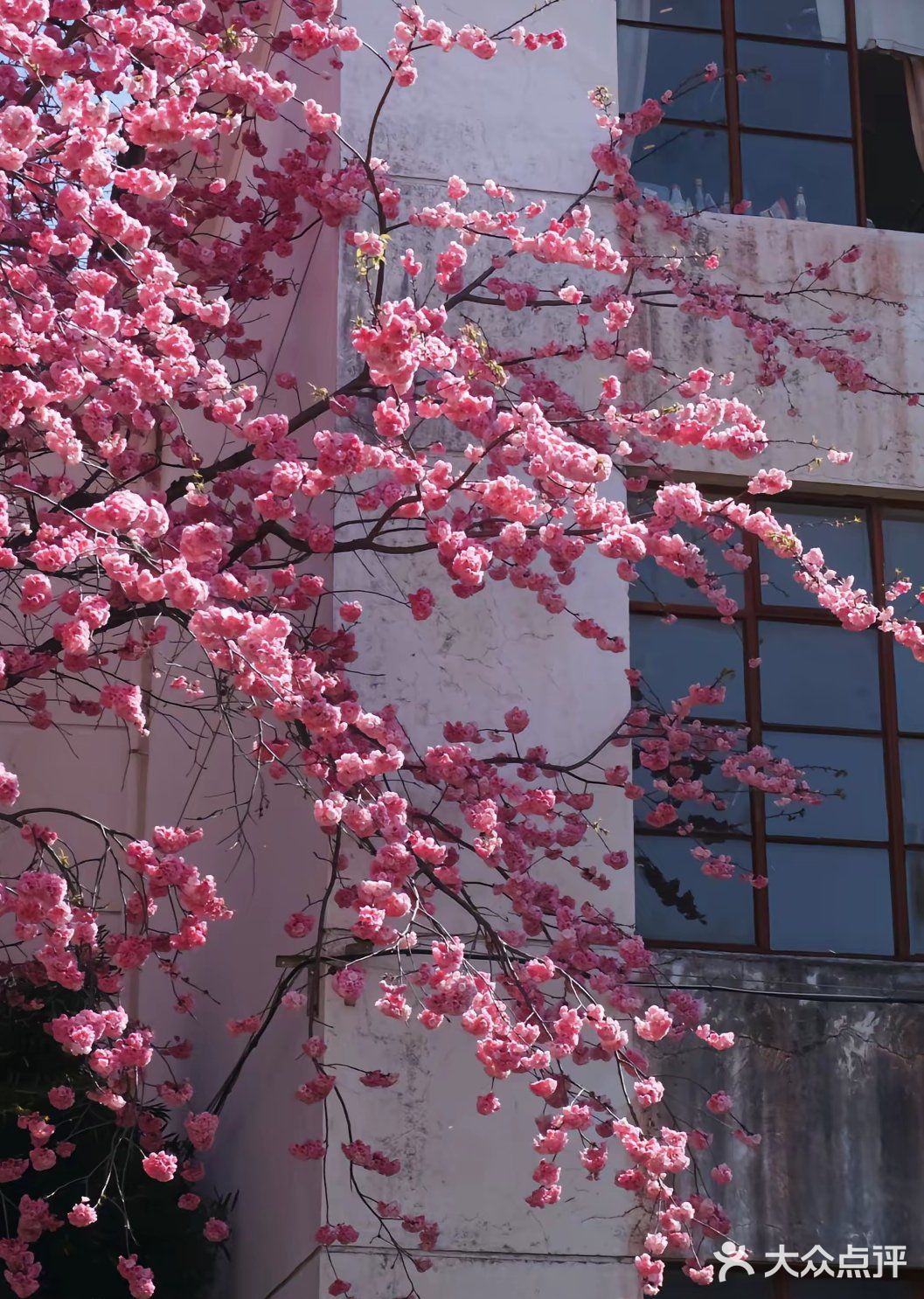 今天外卖吃什么 吃这些