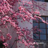 今天外卖吃什么 吃这些