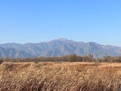 -野鸭湖国家湿地公园