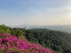 -广州市白云山风景名胜区