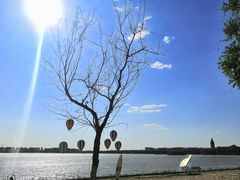 -武清南湖绿博园