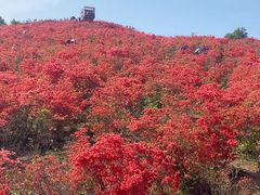 -瑞安圣井山景区