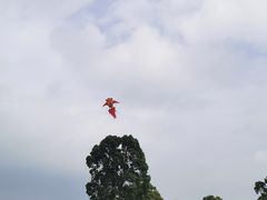 -上海月湖雕塑公园