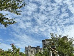 -碧桂园润杨溪谷温泉酒店