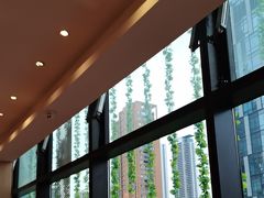 -西贝(武汉天地店)
