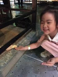 -酷嗒动物文化乐园(cutezoo西溪乐天城店)