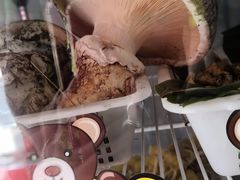 -菌之家·专业纯野生菌火锅·特色炒菌