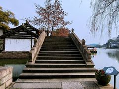 -鲁镇