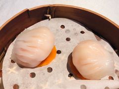 皇朝虾饺皇-皇朝会.经典传统粤菜(外滩店)