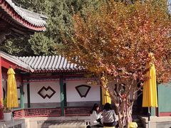 -宫事颐庭·老佛爷贵寿下午茶(颐和园店)