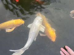 -成飞公园