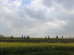 -光明小镇欢乐田园