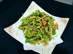 -翠林云庄大酒店