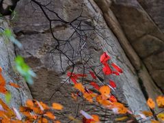 -秦岭终南山世界地质公园翠华山景区