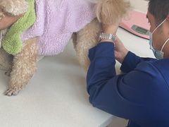 -佳雯宠物医院(四明中路分院)