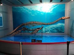 -自贡恐龙博物馆