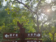 -大亚湾红树林城市湿地公园