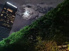 -龙源茶坊(白银路店)