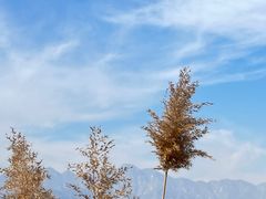 -野鸭湖国家湿地公园