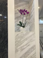 -深圳阳光医疗美容